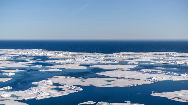 Arctic sea ice decline seemed to be slowing…