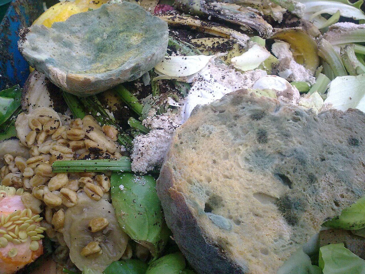 How to Reduce Food Waste in the UK: 20 Practical Strategies