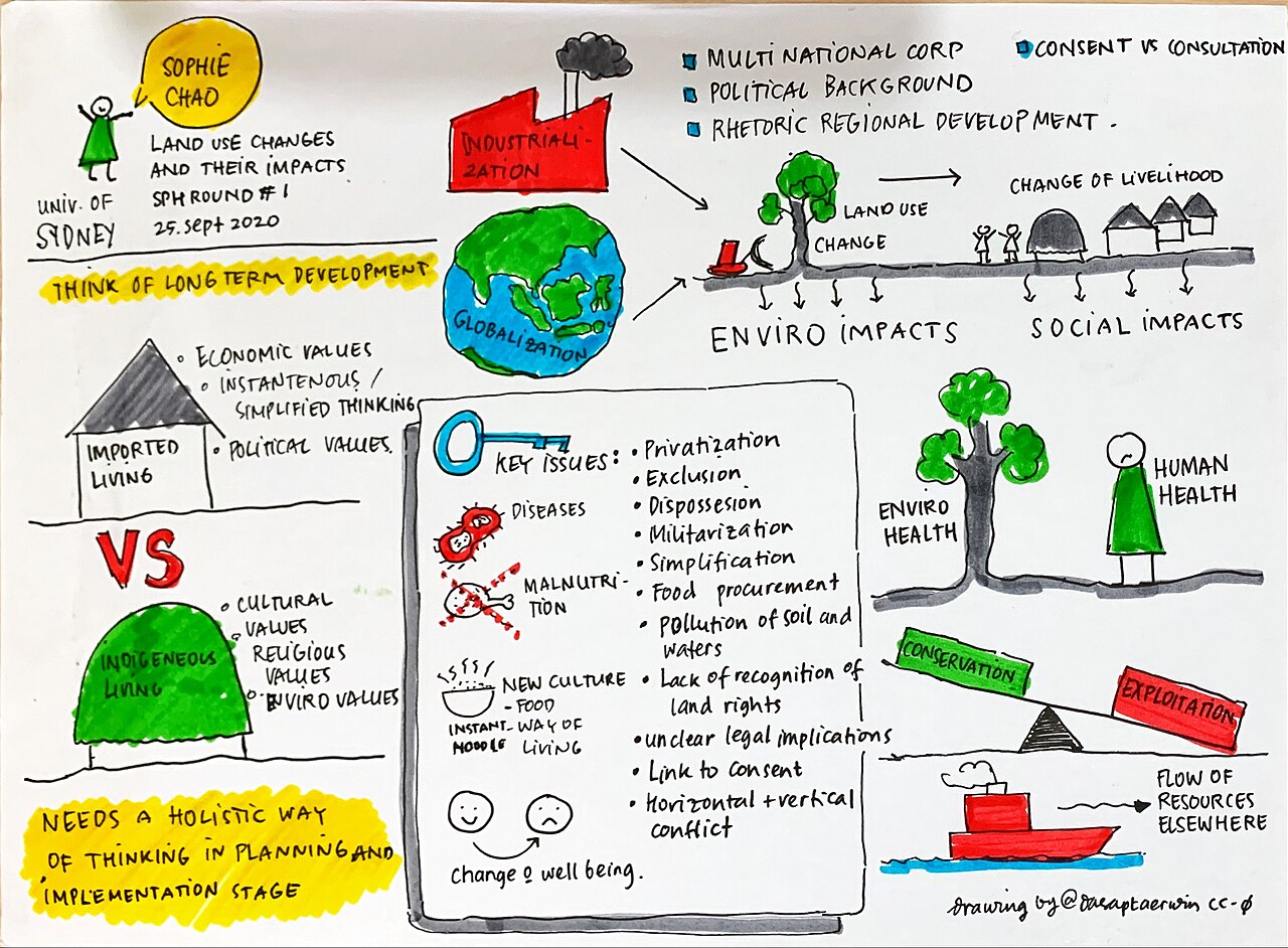 Deforestation: Causes and Consequences